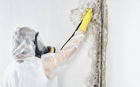 Best Residential Mold Inspection & Testing  in Nyssa, OR